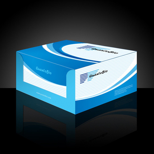 1597389804430513.jpg 1459981085_1357277387.jpg